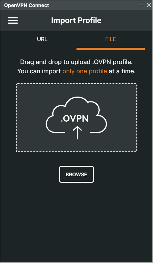 The OpenVPN Connect client