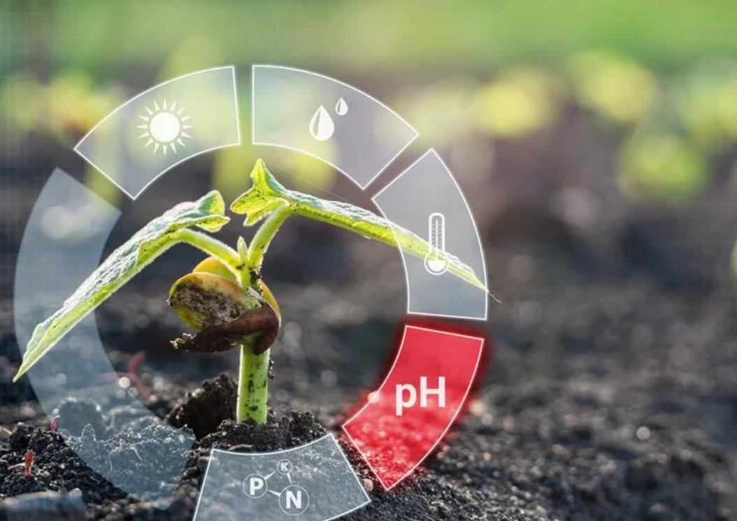 Soil Health Monitoring
