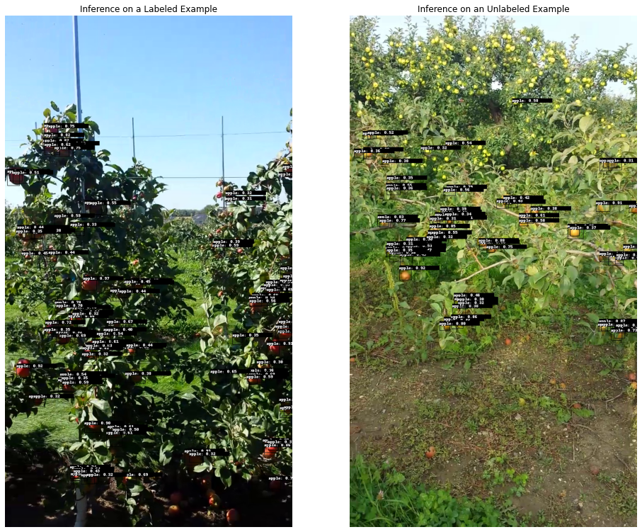 Minneapple predictions