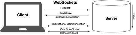 Websocket image