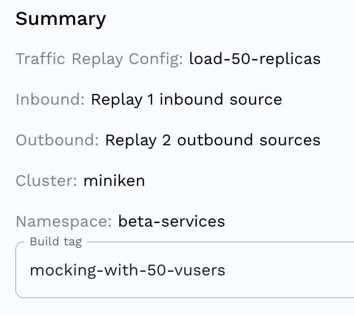 speedscale execution summary