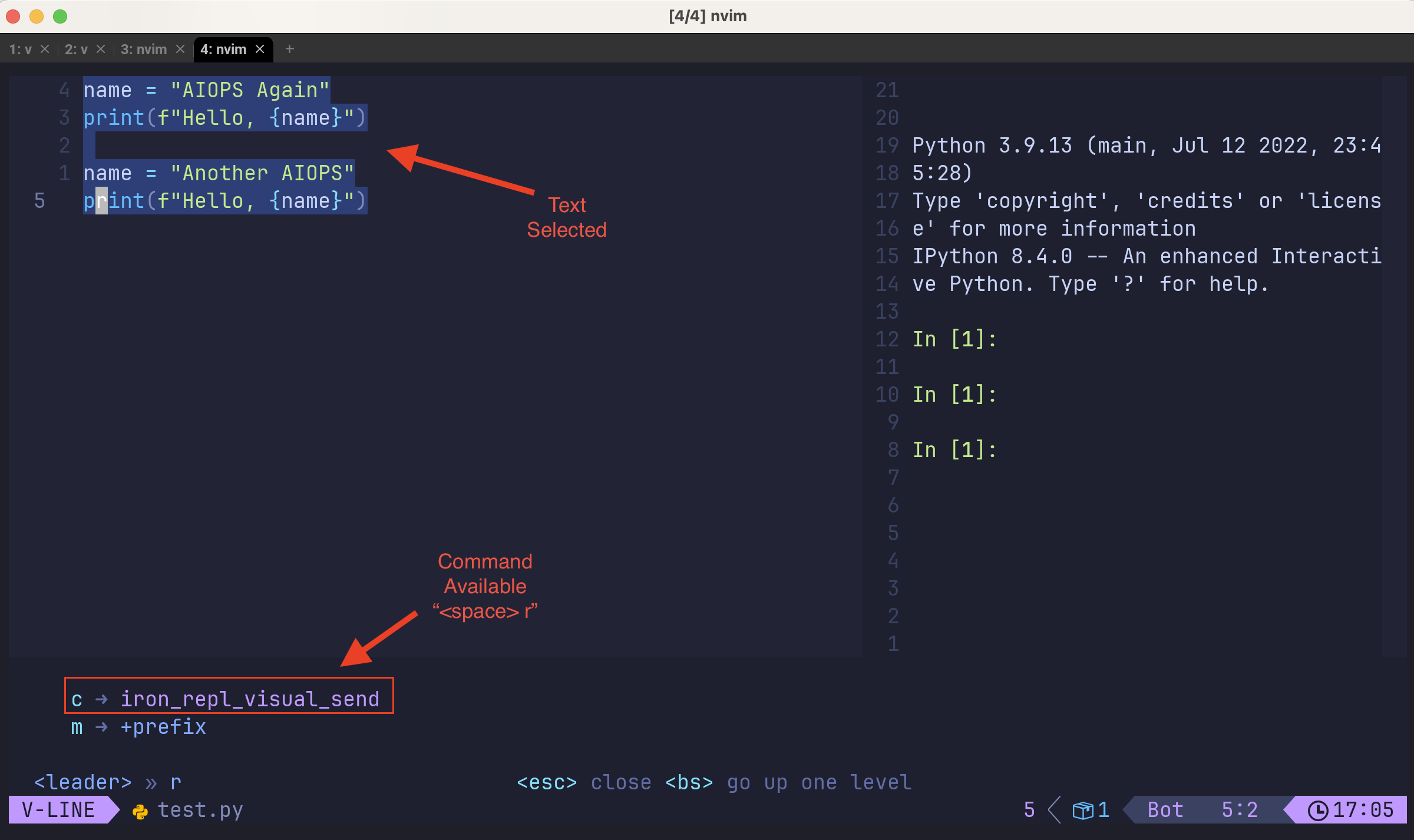 Run python code nvim