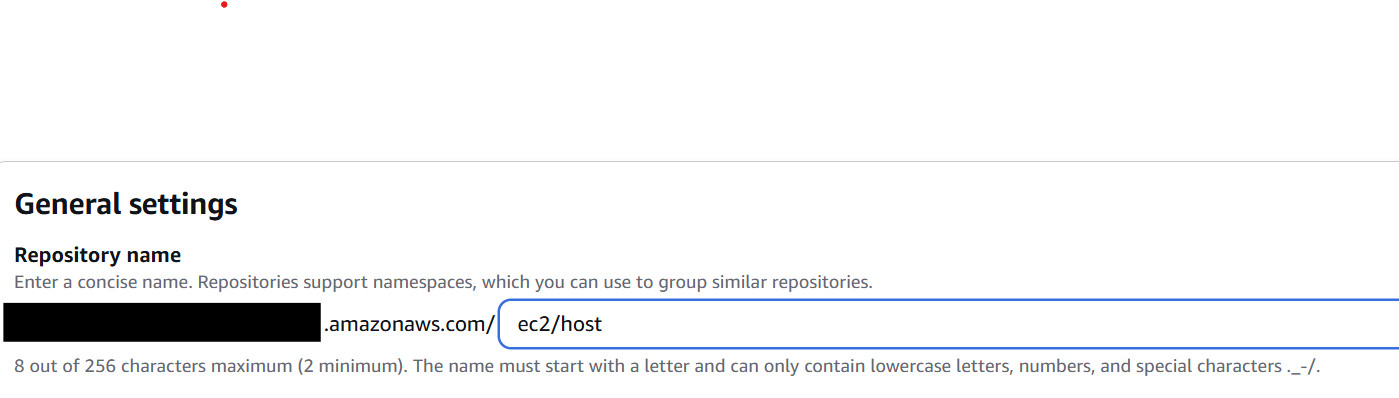 ECR repository created with the ec2/host name