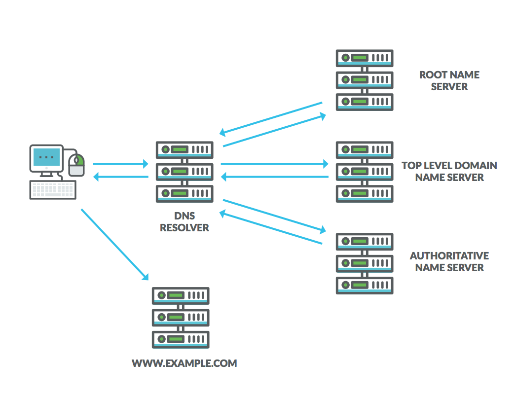 DNS Lookup