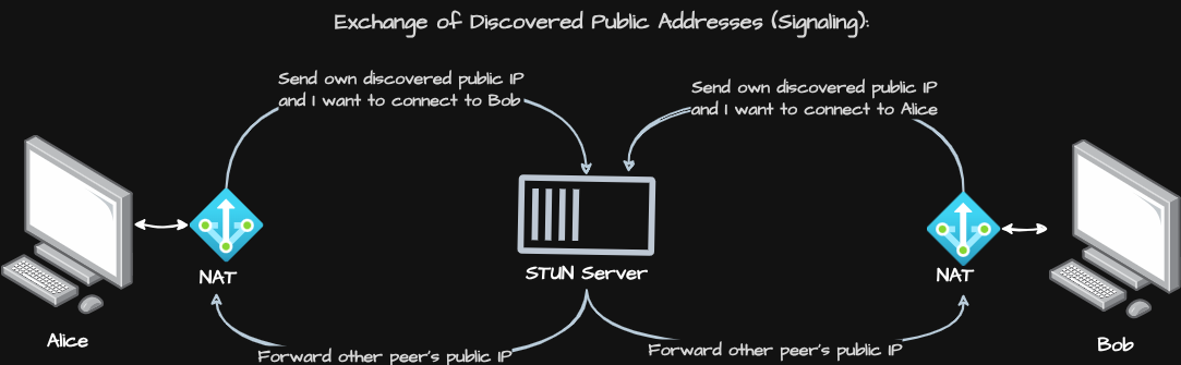 Exchange of Discovered Public Addresses .png