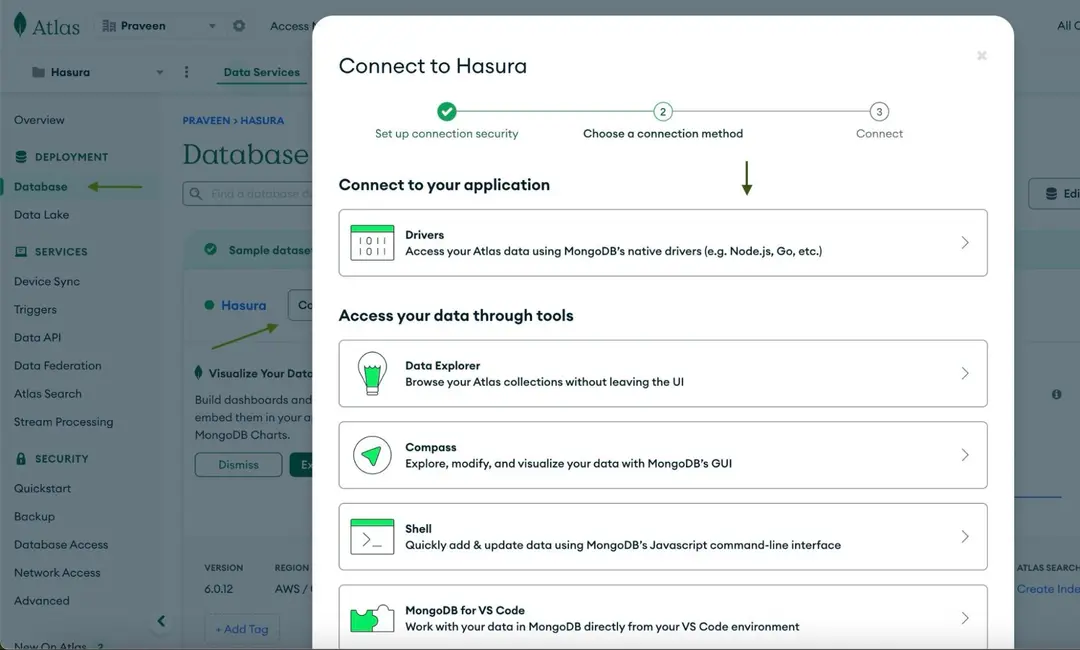 Connect to your Application MongoDB