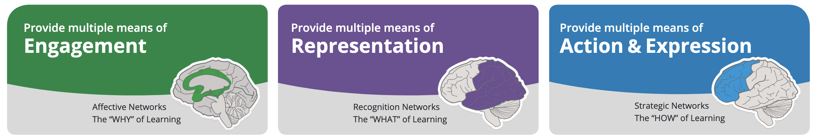 The three brain networks and how they affect the way of learning. Description in the following chapter.