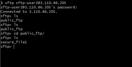 sftp-user2