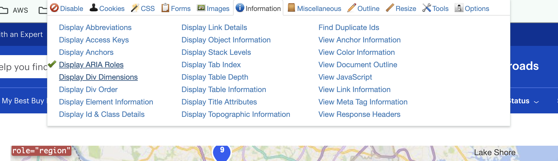 Image of web developer