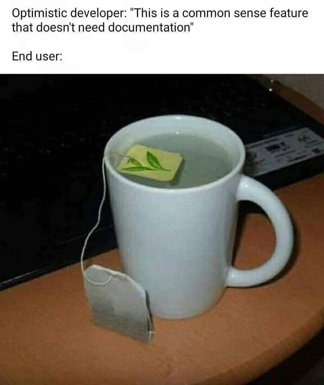 In text, above the image: Optimistic developer: "This is common sense feature that doesn't need documentation" | End user: *an image of a mug filled with water and the tea bag outside of the mug*