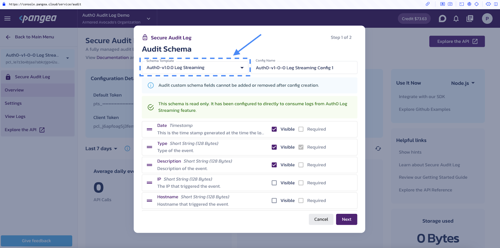 Pangea Audit Log Schema Setup