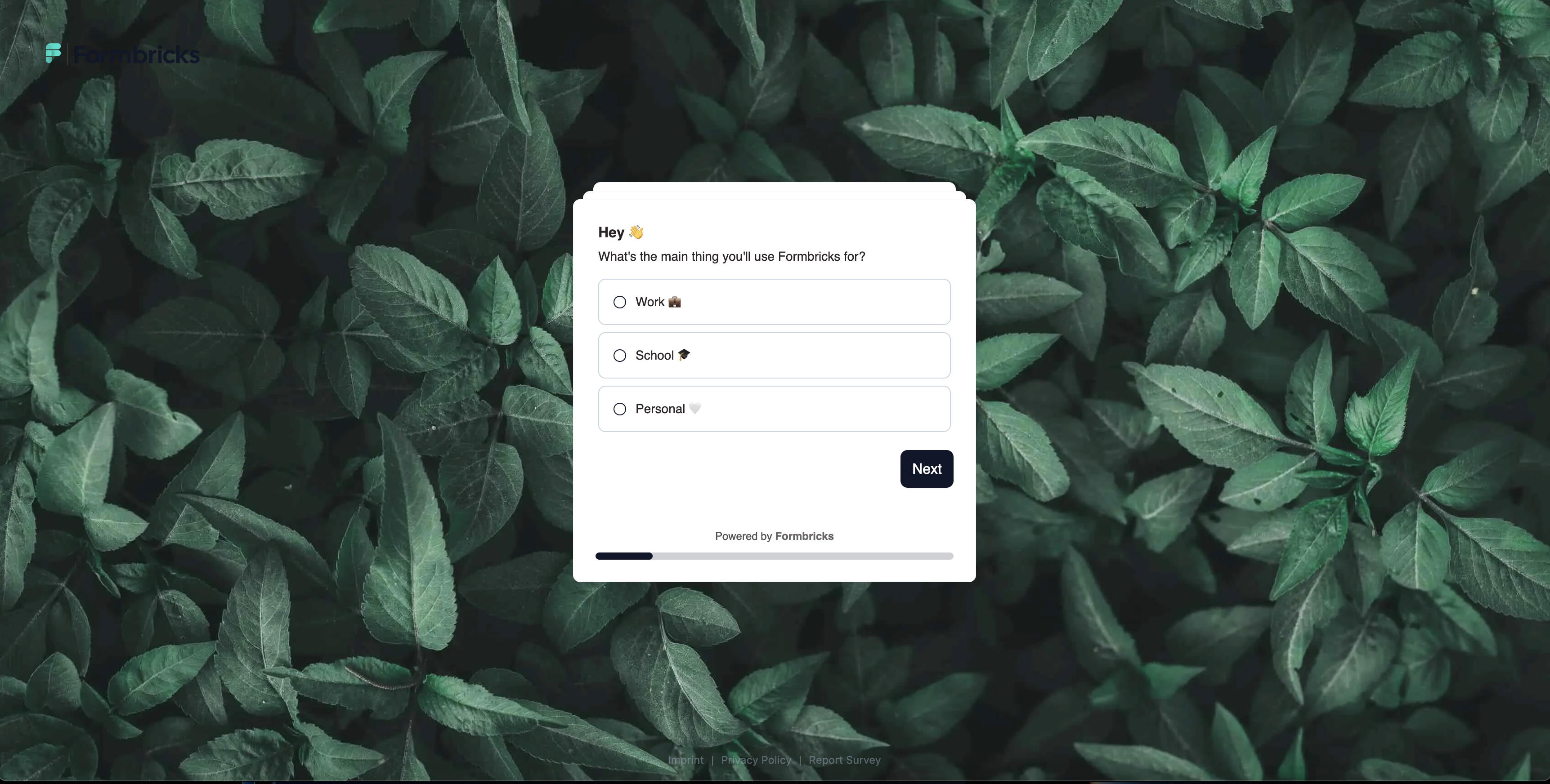 Formbricks Onboarding Survey