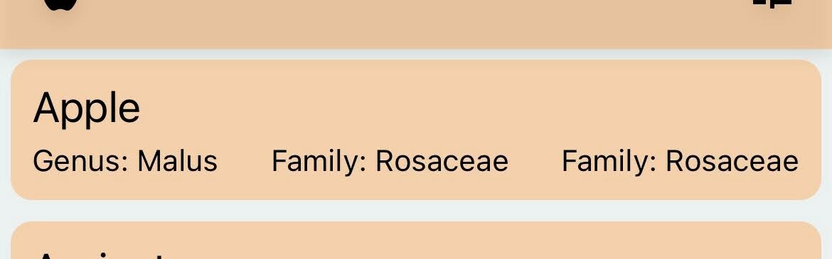 sample of "Apple" card