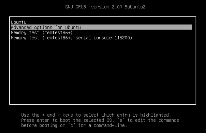 Screenshot of a grub boot loader menu.
