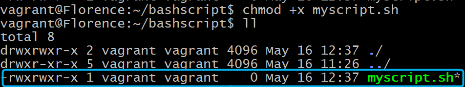 Execute script and check file permission