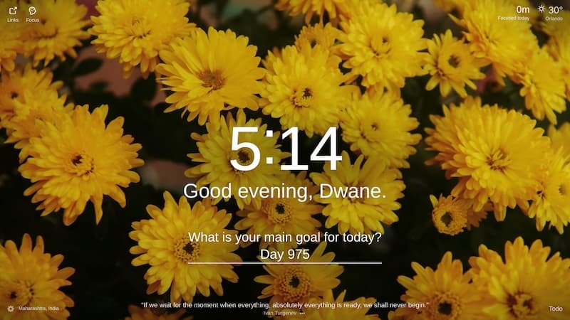 A close-up of a flower with yellow petals and a dark center. The flower is in focus and has a blurred background. The flower is surrounded by other flowers of the same type. The background is a dark green color, with some areas of the leaves being visible. The image is taken from a slightly elevated perspective, looking down at the flowers. The location is Maharashtra, India.