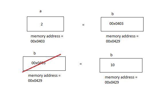 primitive value assignment