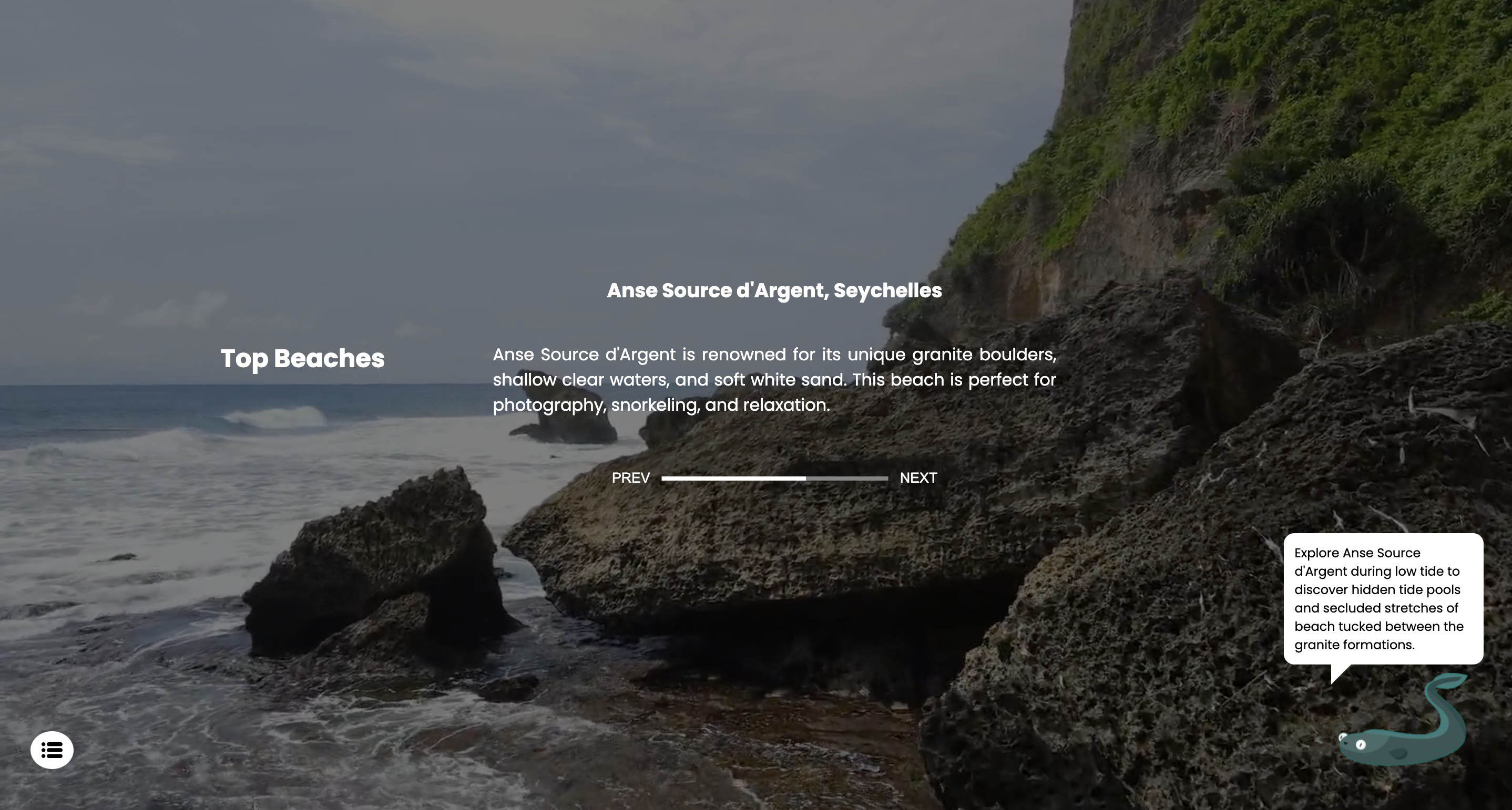 Beach Screen with Background Video