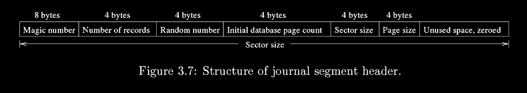 Segment header fields