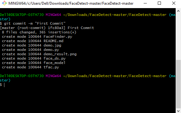git commit screenshot