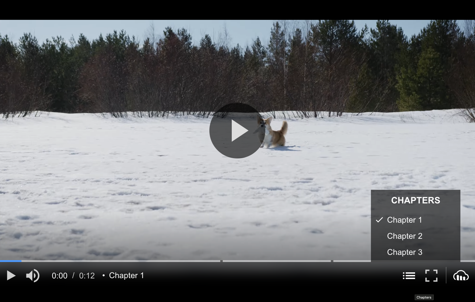Nuxt Cld Video Player With Chapters
