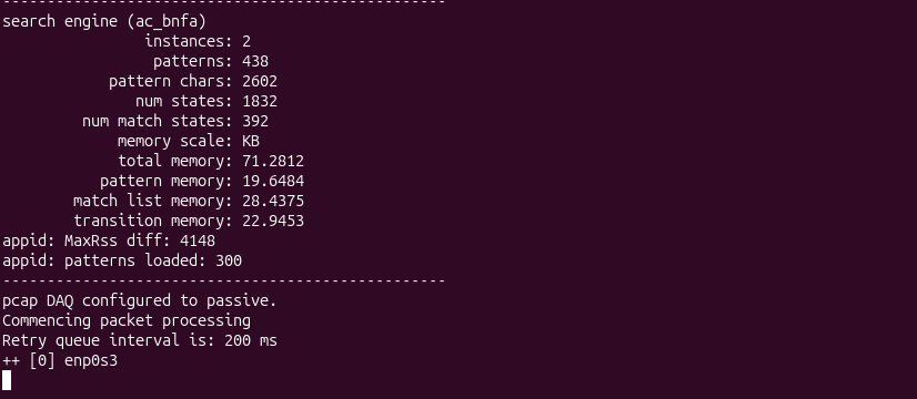 snort running on enp0s3