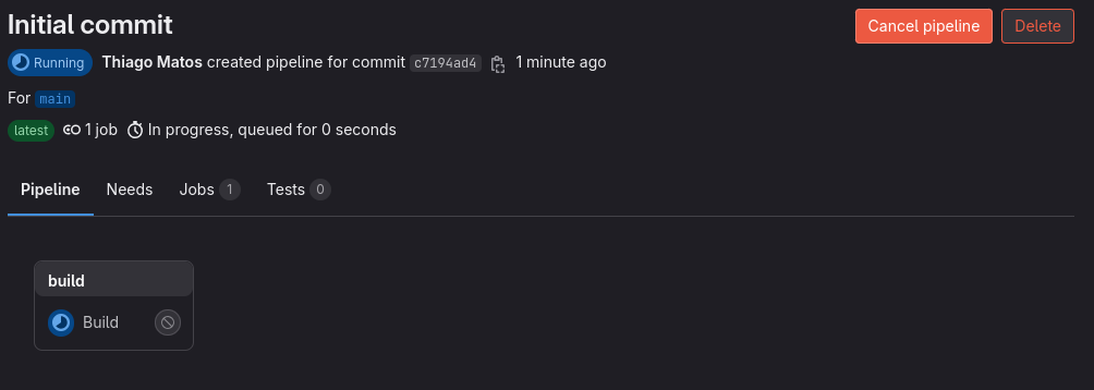 The pipeline running