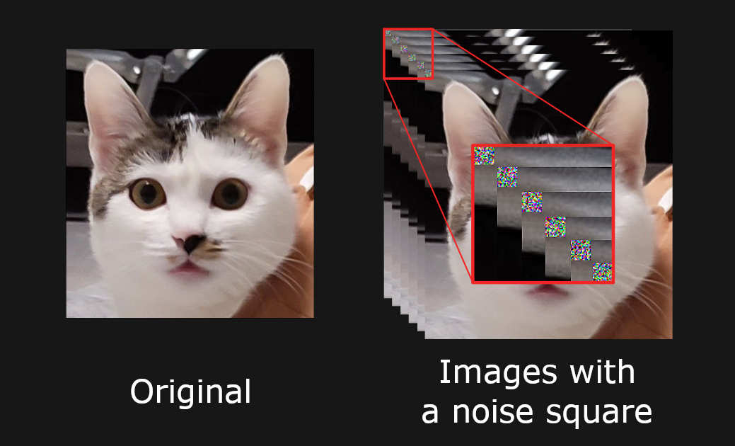 Example of images with noise squares