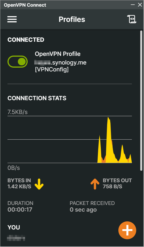VPN connection works