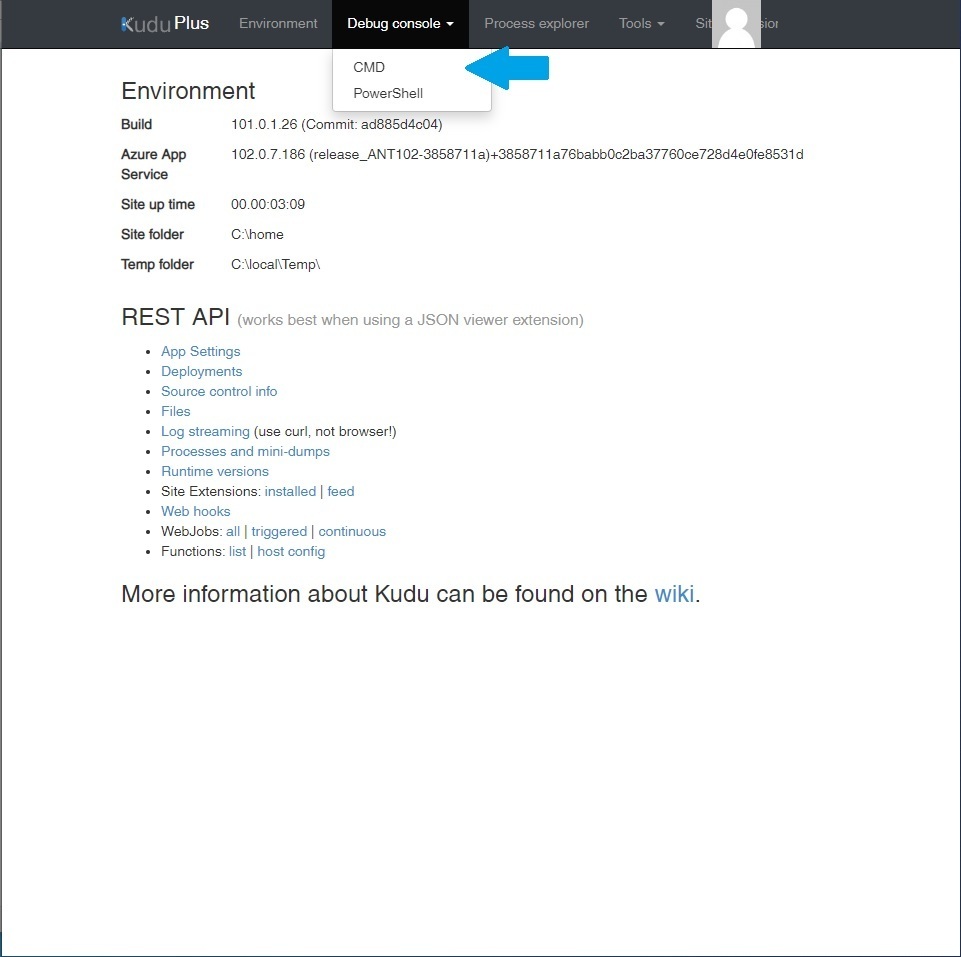 Finding Debug Console