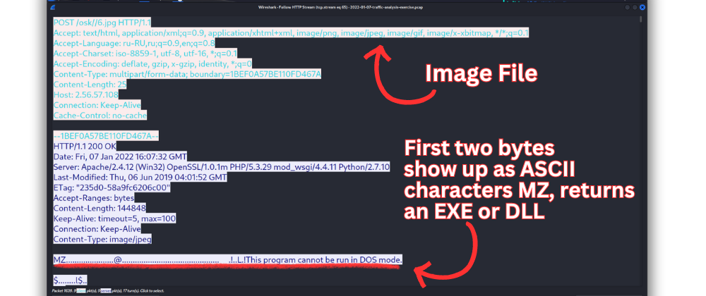 viewing post request dll file disguised as an image file