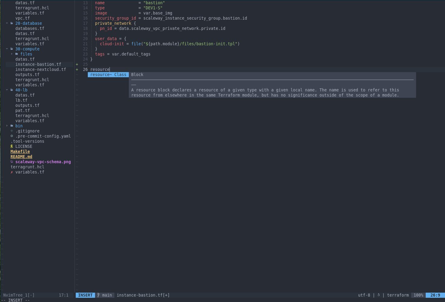 Neovim IDE