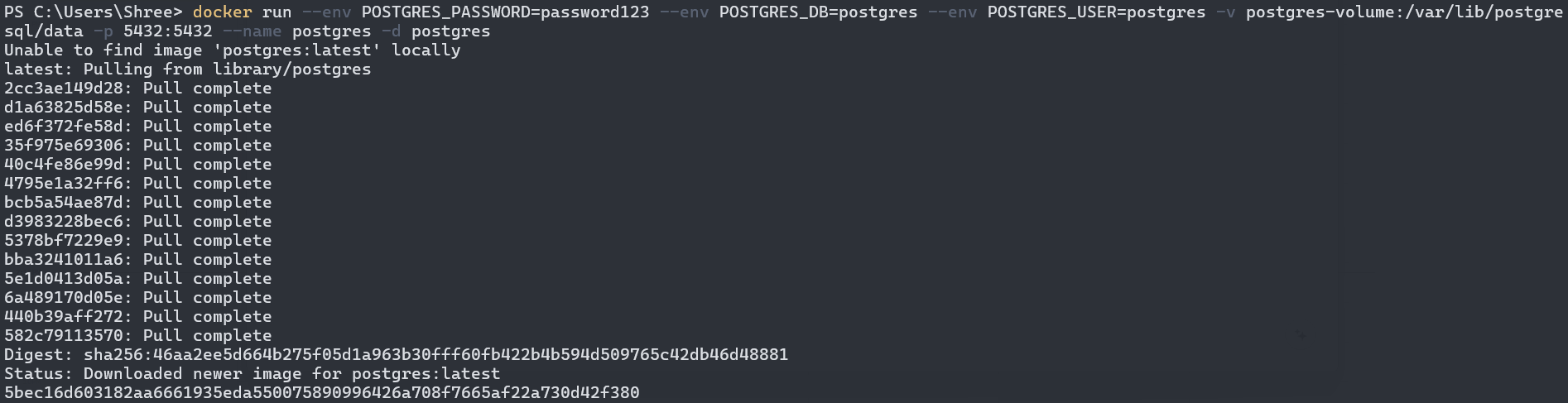 running the postgres image in docker