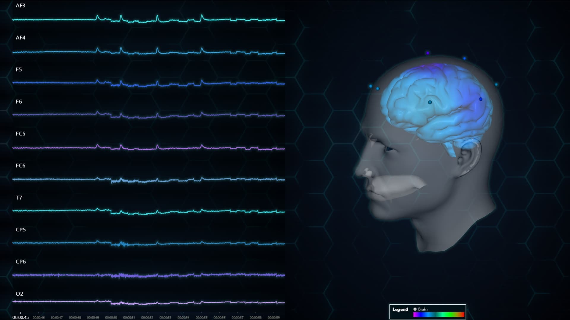 EEG-Mesh-Model-3D