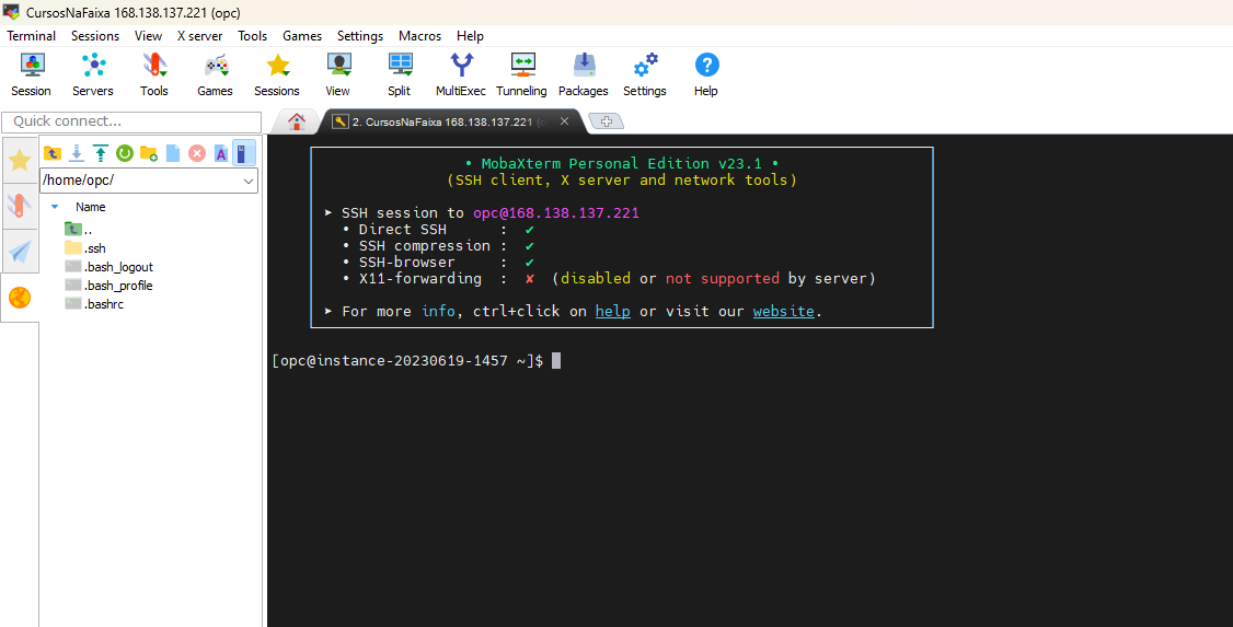 MobaXterm - instancia aberta