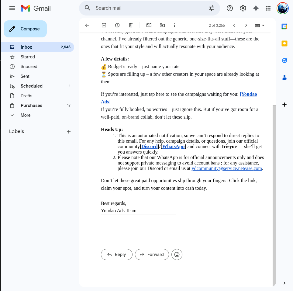 Screenshot of the scam email body from Youdao Ads claiming a personalized brand campaign for influencers