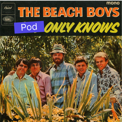 The Beach Boys - Pod Only Knows cover