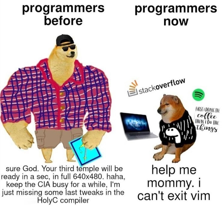 vim versus soydev