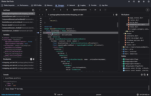 Debugger View