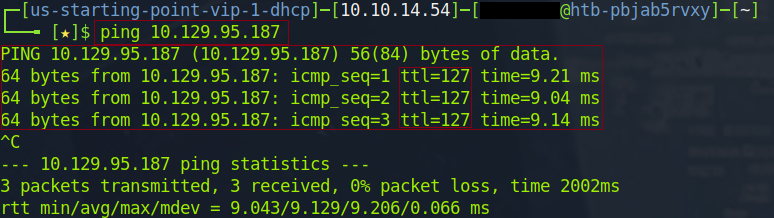 Screenshot 1: Ping command
