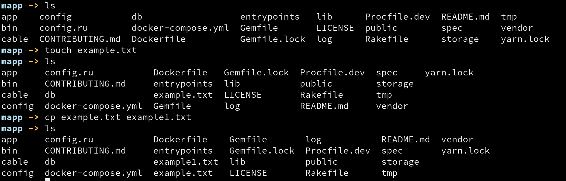 cp command