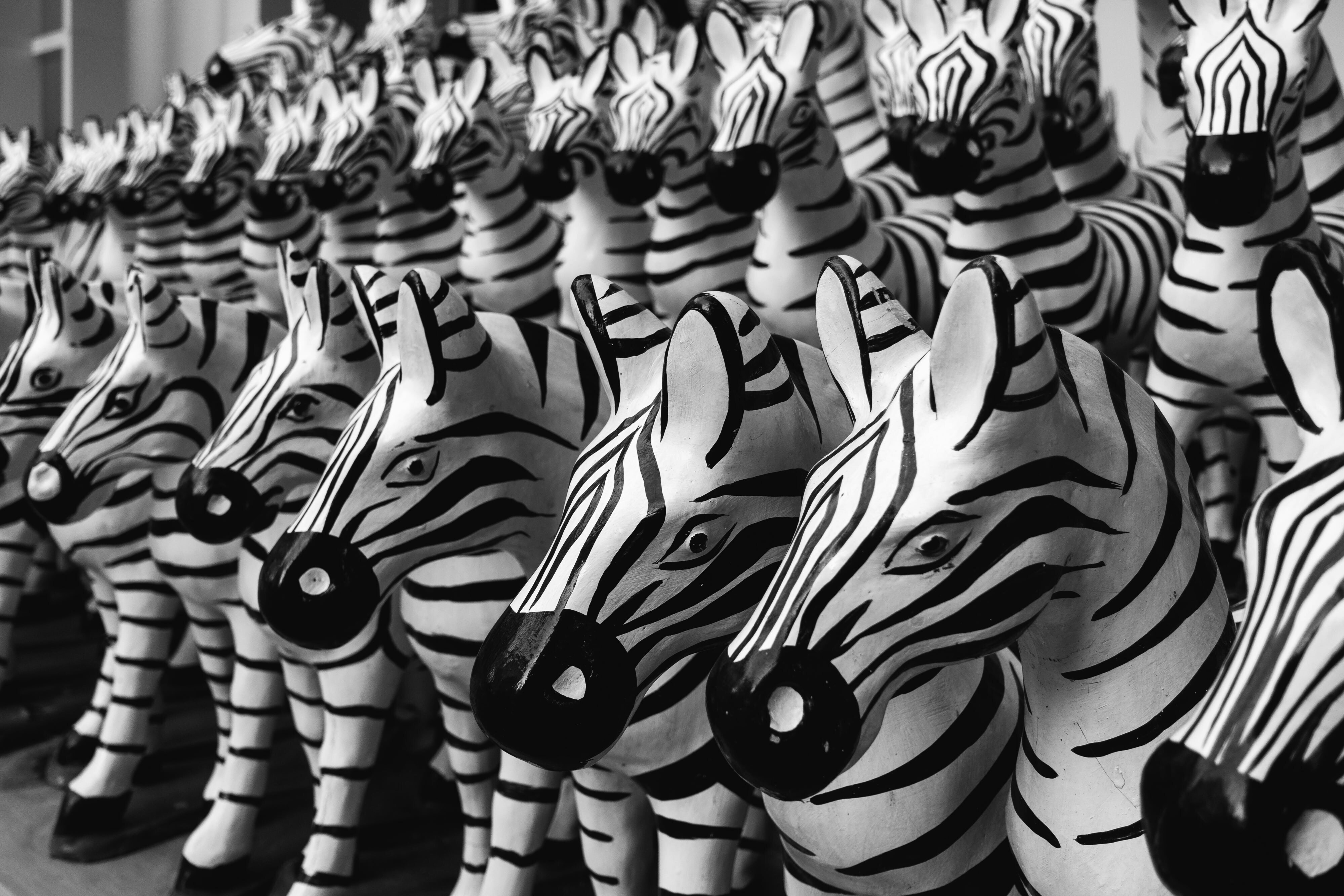 representation of immutability with zebras…