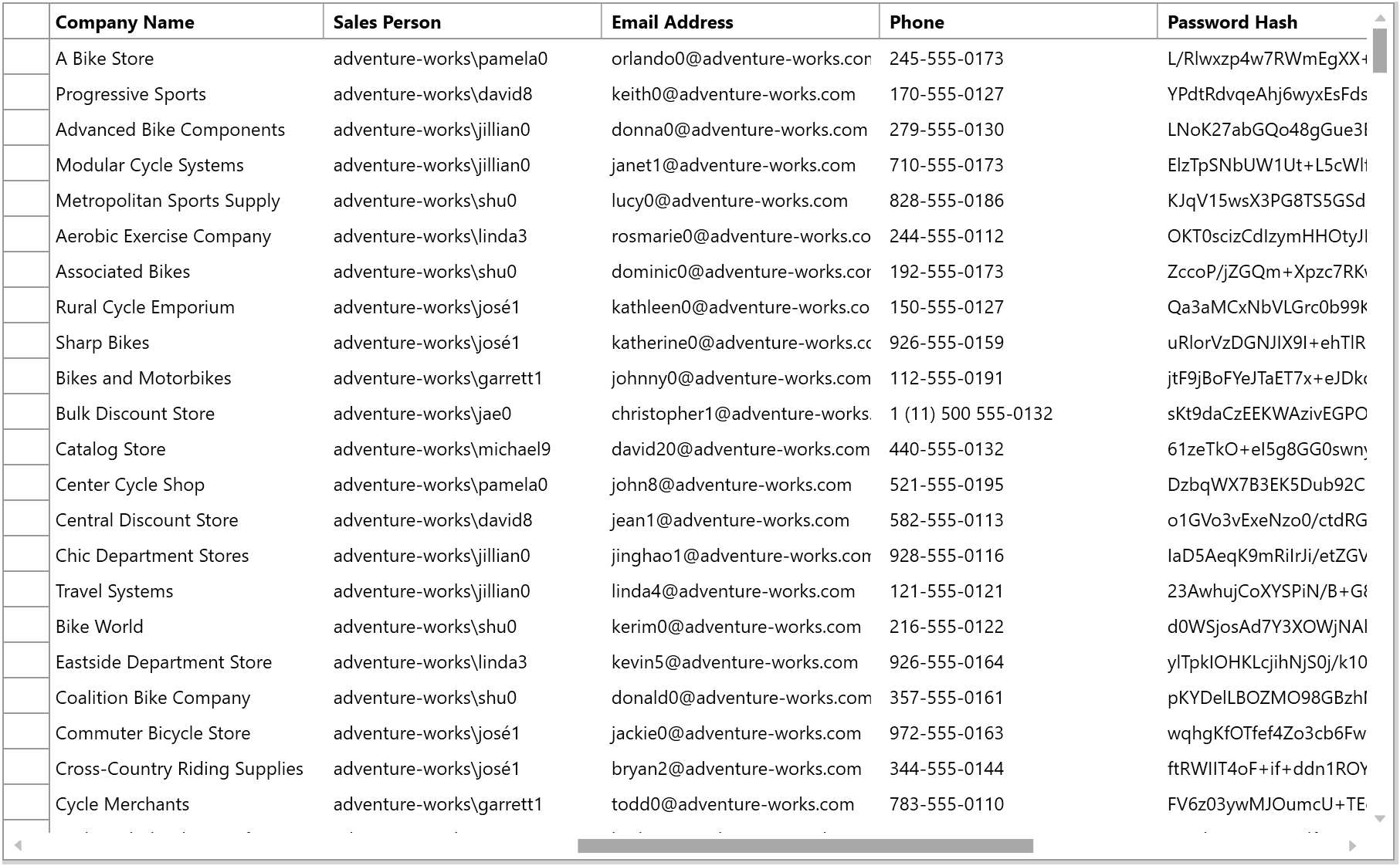 Bound DataGrid with Auto-Generated Columns