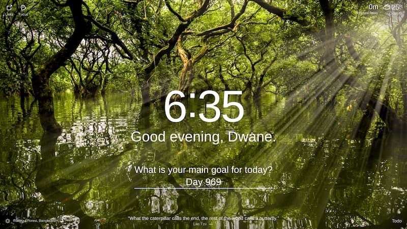  The photo is of a mangrove forest in Ratargul Forest, Bangladesh. The green trees are growing in a flooded forest with green water. The sun is shining through the trees.