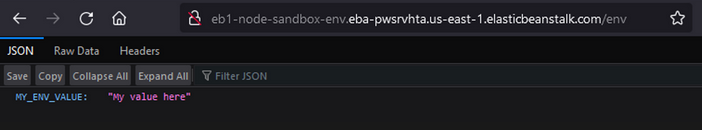 GET /env browser request