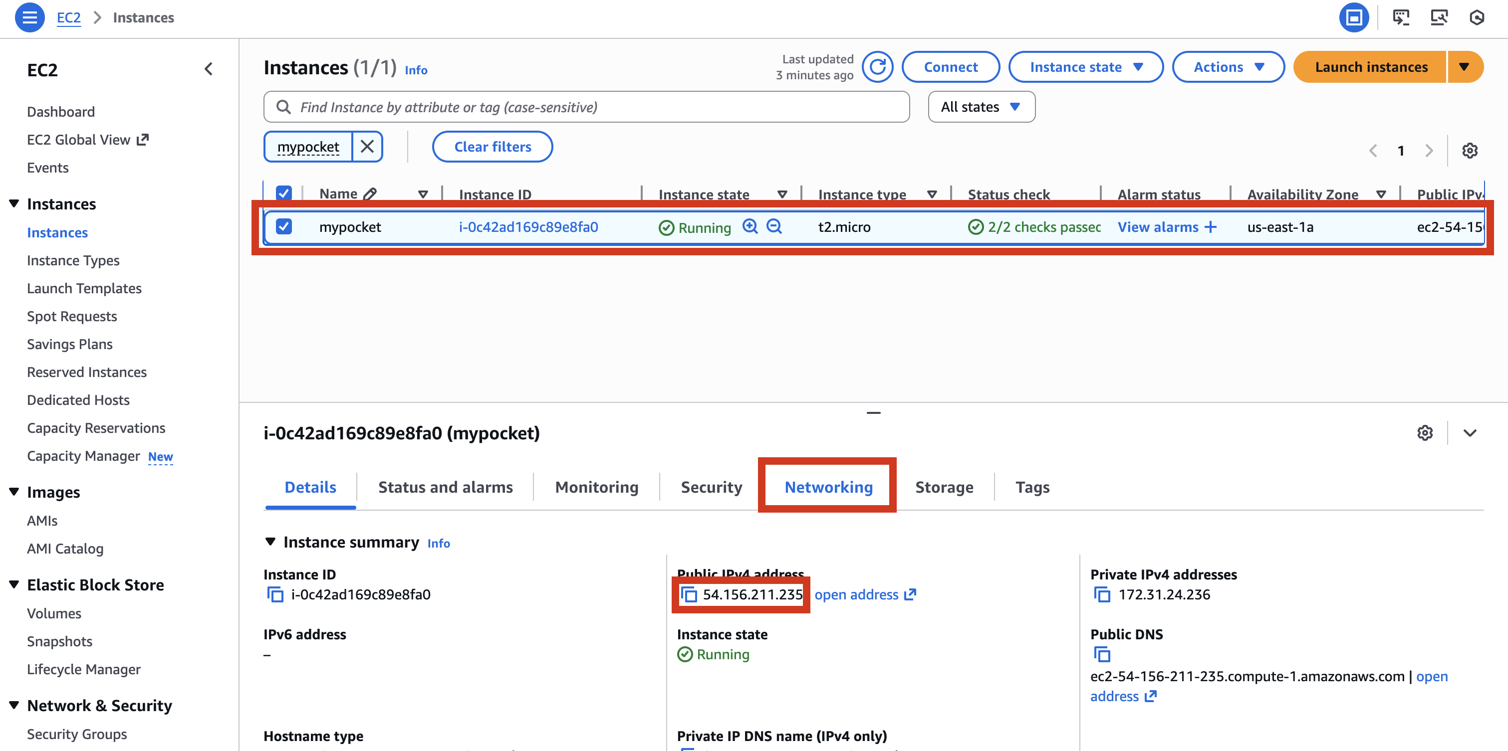 Get EC2 instance public IP