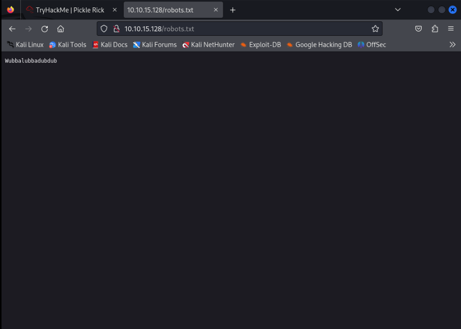 Diretório /robots.txt contendo a senha do usuário