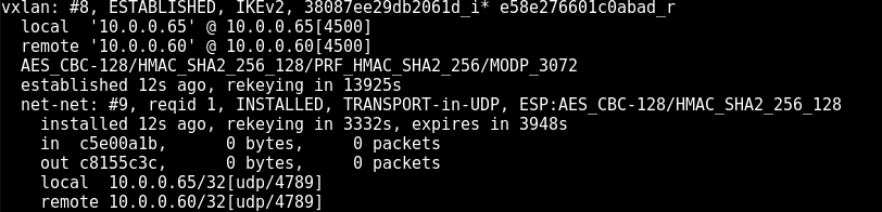 Swanctl output listing established IPsec security associations.