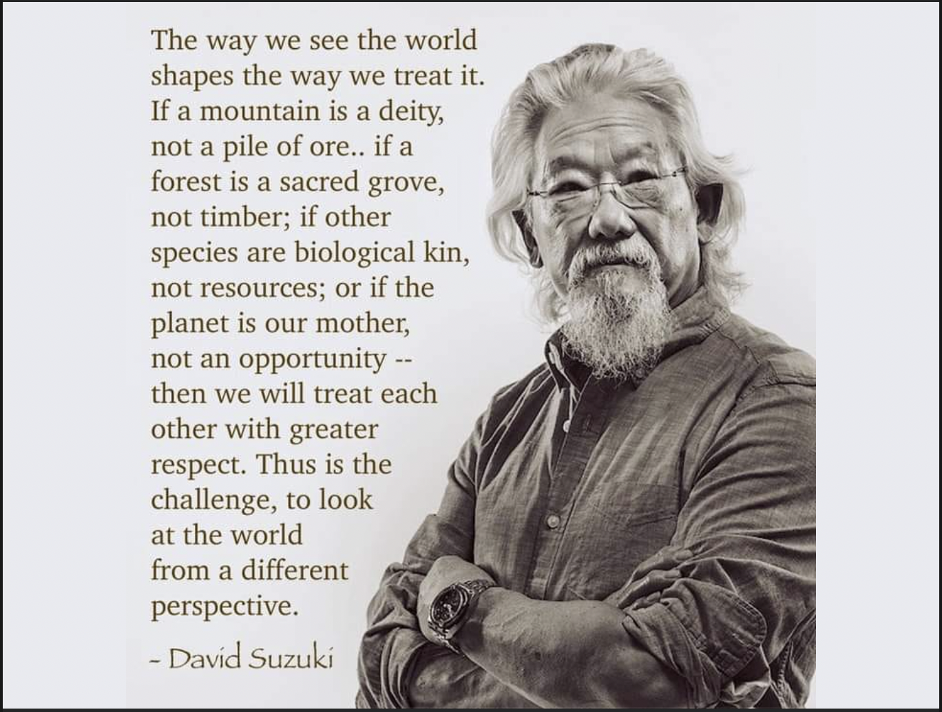 "The way we see the world shapes the way we treat it." Qoute-Poem by David Suzuki