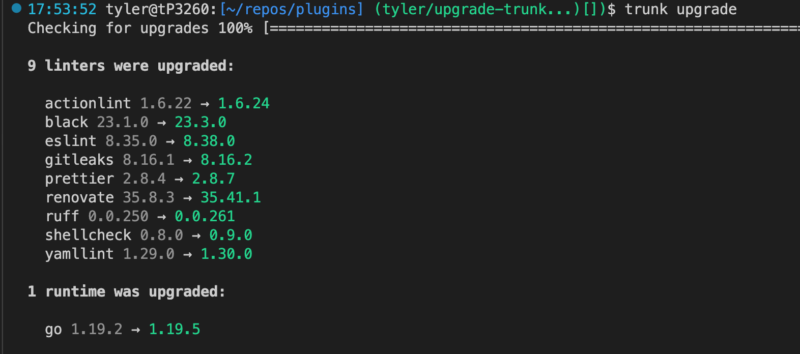 Successful Linter Upgrade Screenshot